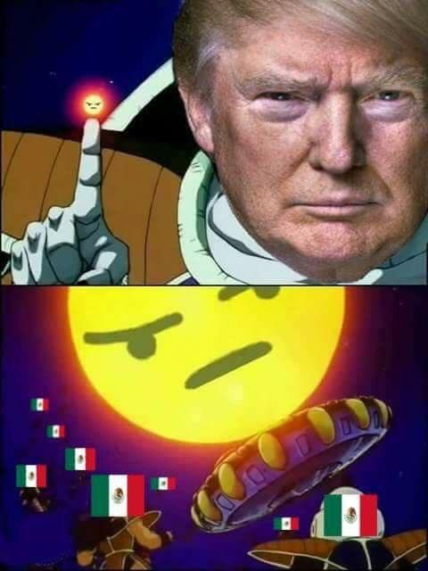 Release the memes