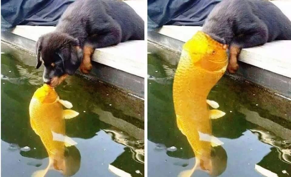 When people ask how's my life going right now