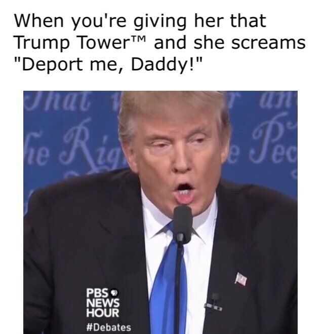 T dog