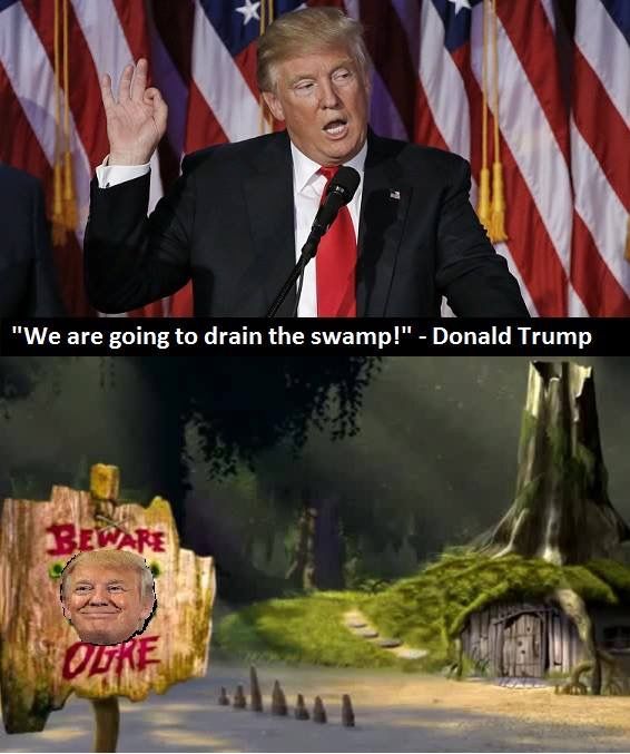 Shrek is Love Trumps Hate