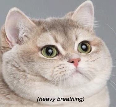 When you have asthma