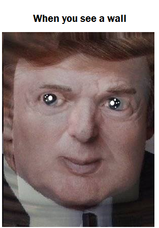 TORAMUPU CHAN
