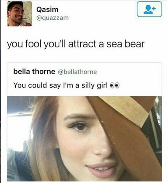 Better make a sea bear safety circle