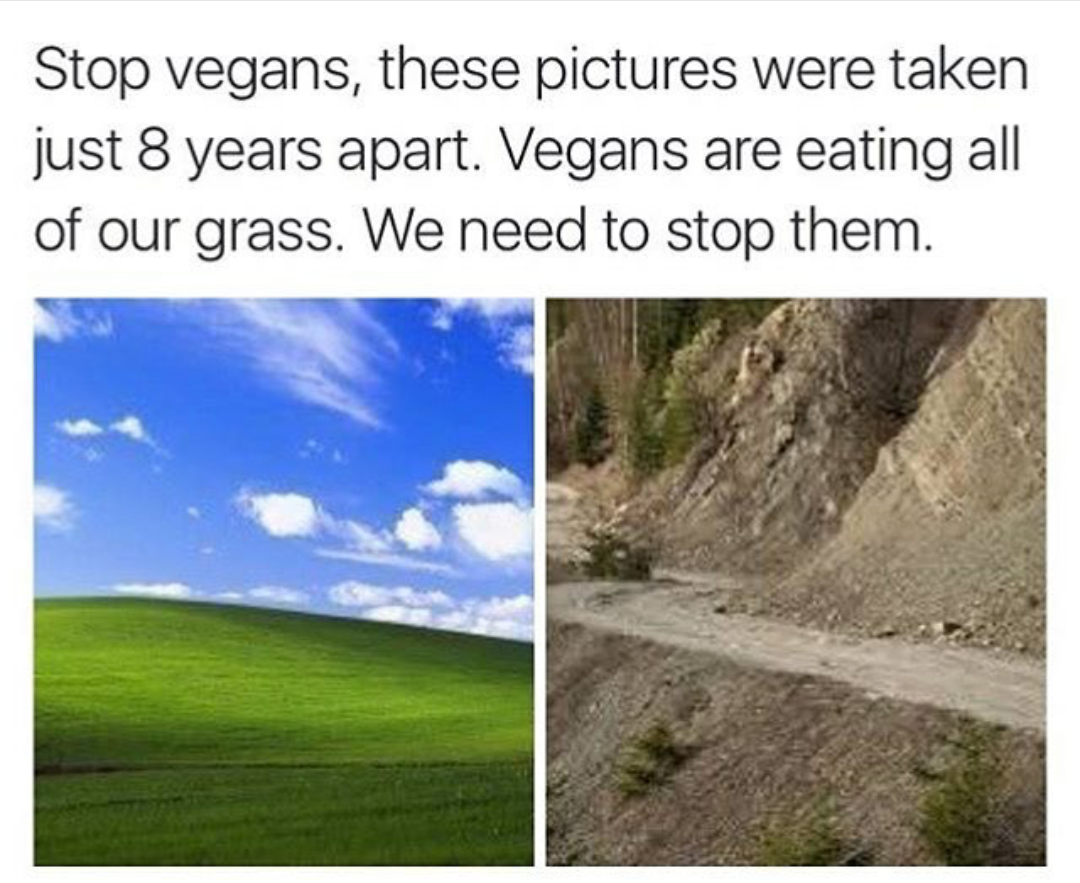 Kids, don't become vegans