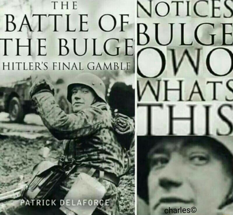 hitlers final owo