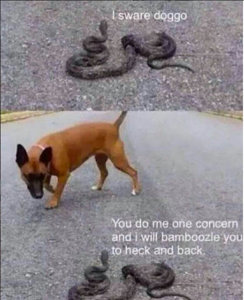 Thats a mean snek