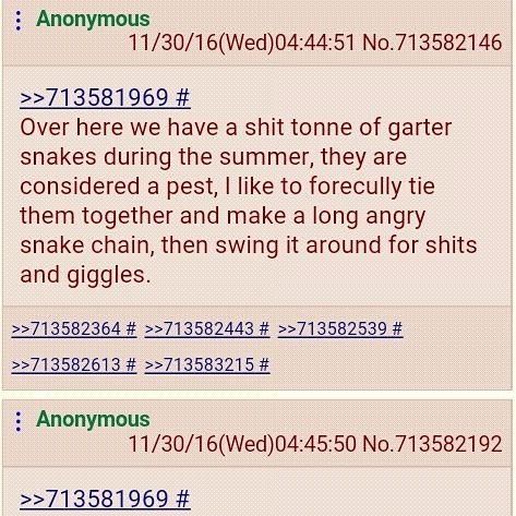 Anon ties up sneks