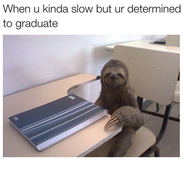 Sloth is my sin