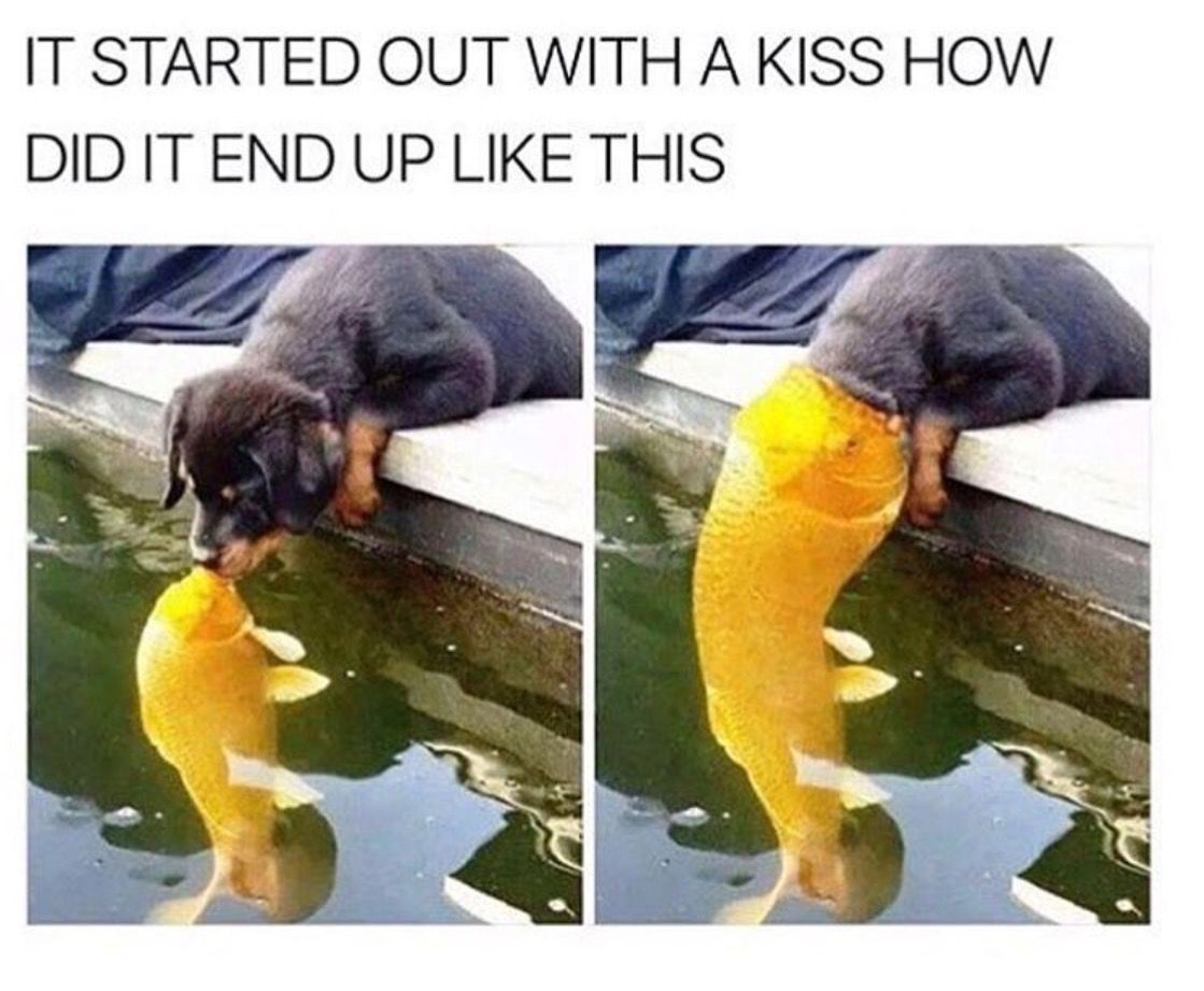 survival of the fishiest