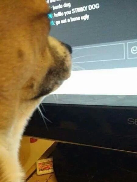Cyberbullies have no mercy