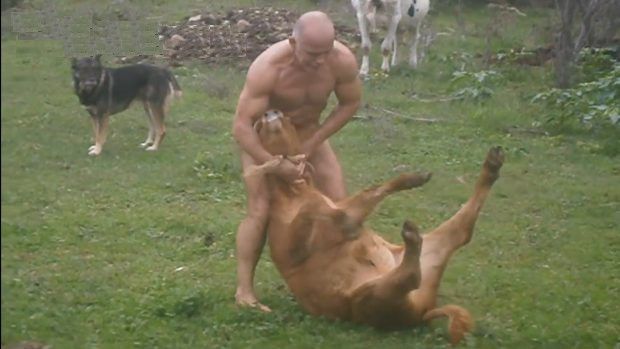 Local hero wrestles vicious cow, saves poor dogo from certain death
