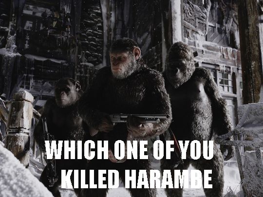 War for the revenge of Harambe