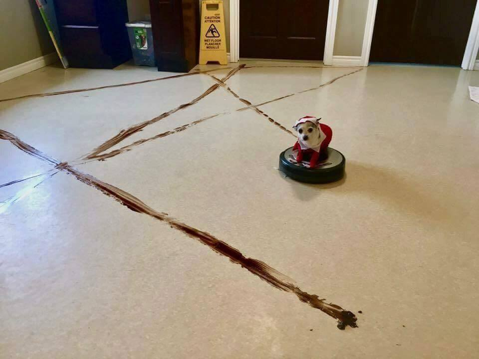Shcrap.