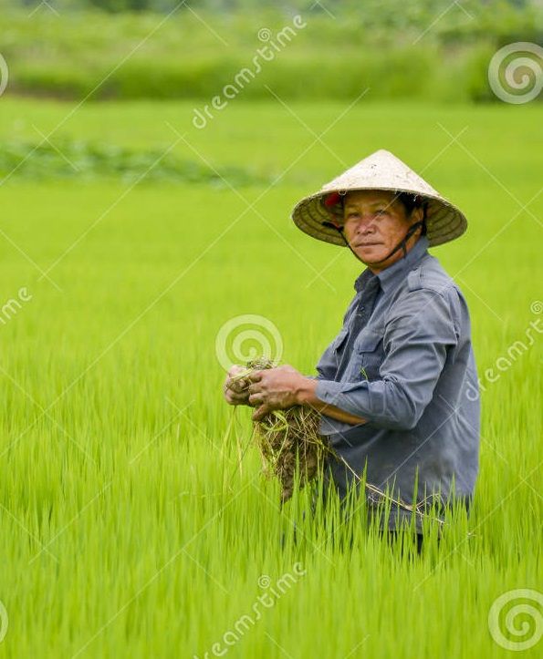 White man farming (Coloriced)