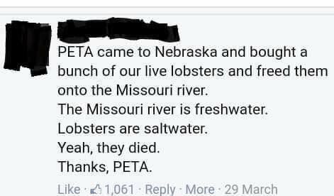 Thanks, PETA.