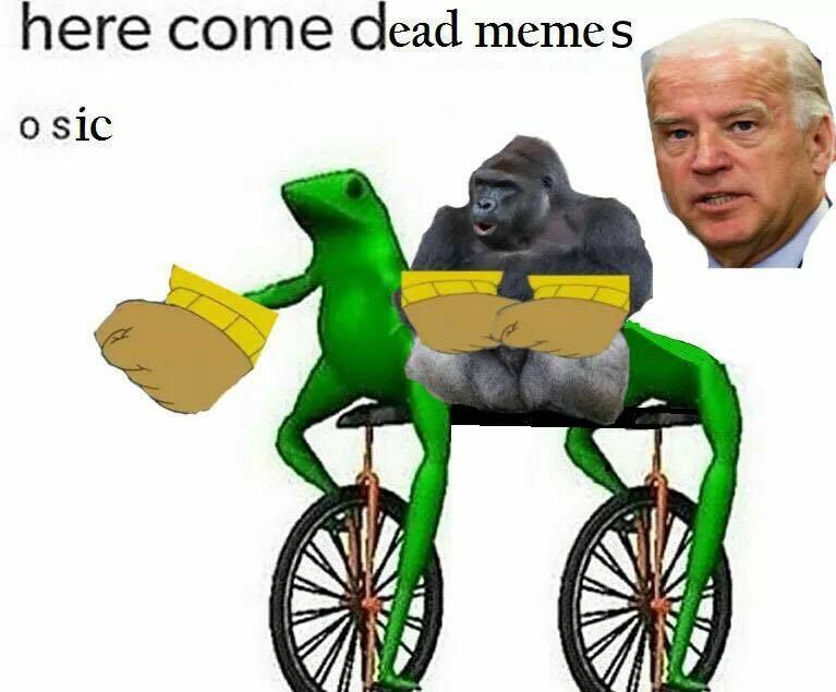 Waddup, dixout 4 Biden