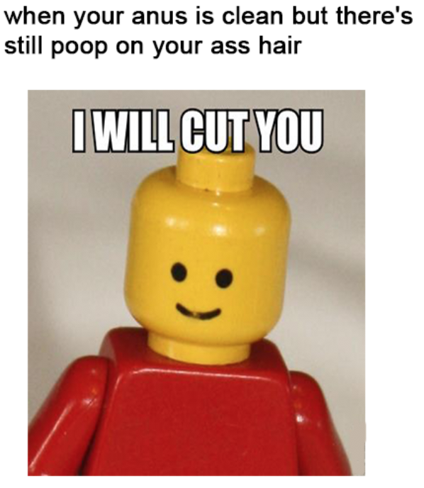 LEGO of my ass