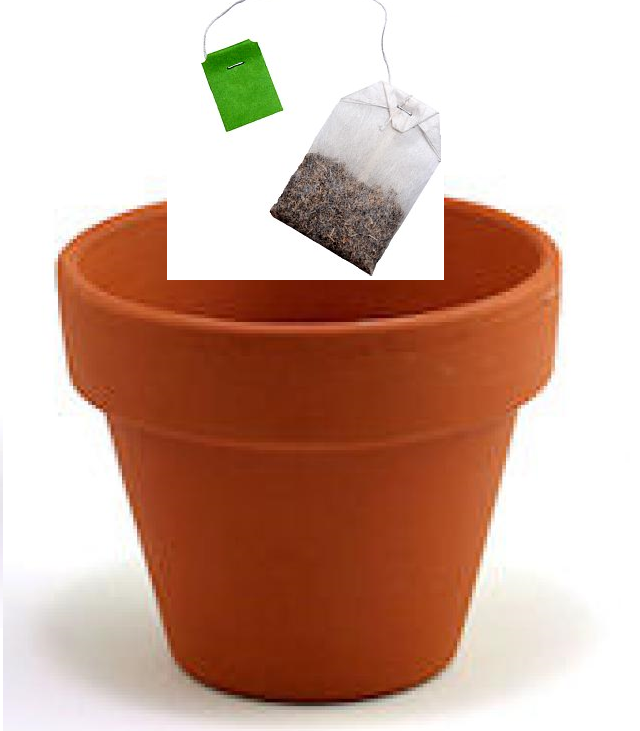 When all u got is tea and pot