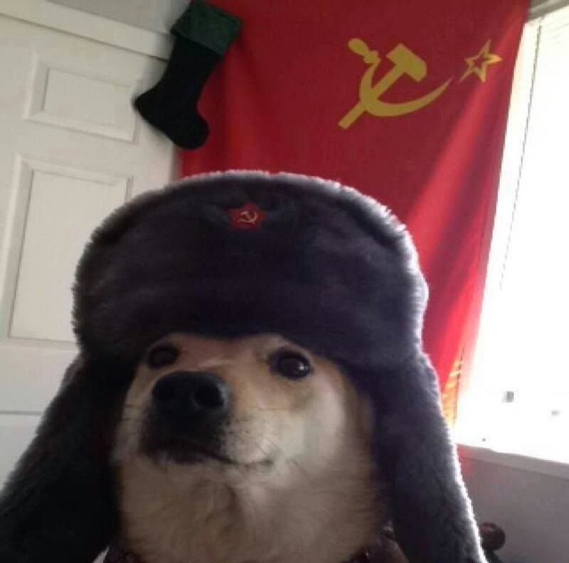 Japanese dog infiltrating URSS headquarters (1940, Colorized)