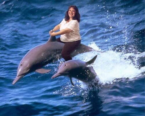 rare image of a friendship between a whale and a dolphin
