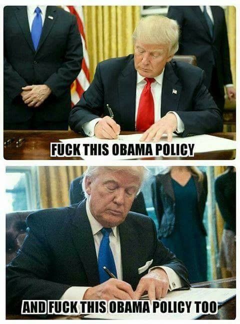 Best POTUS