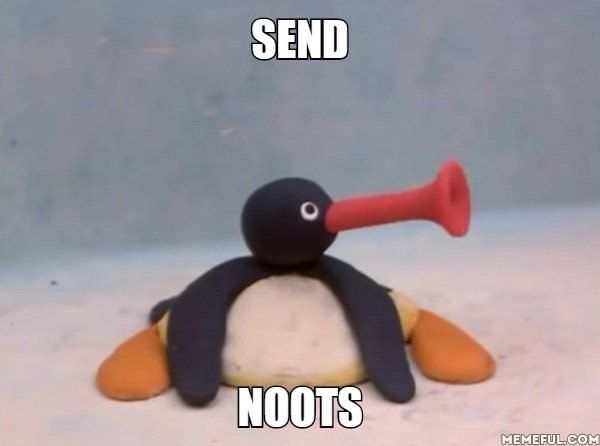 Noots