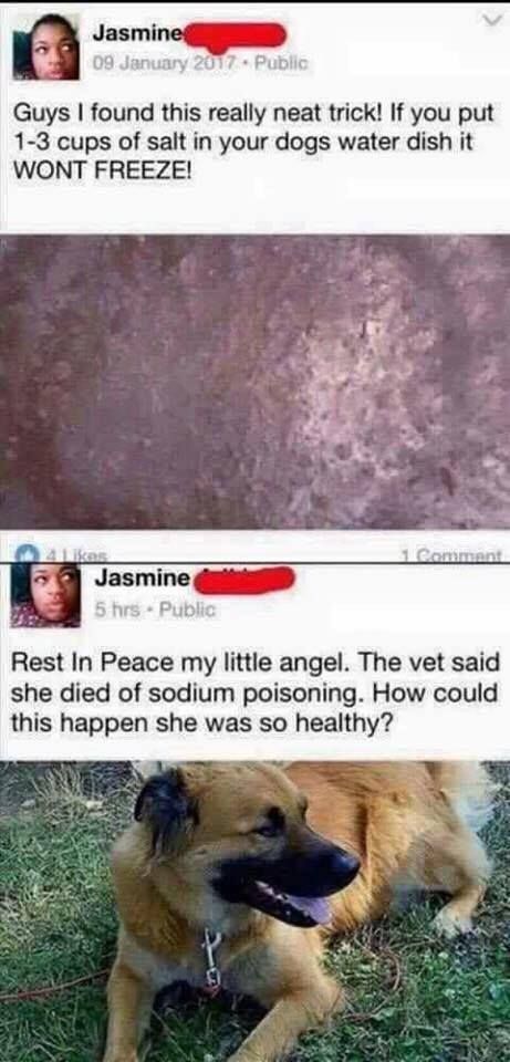 only the blacks...