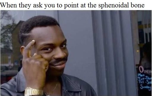 Gotta love anatomy exams