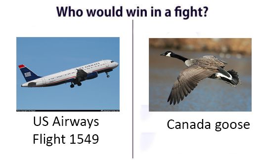 It's a tie, I guess?