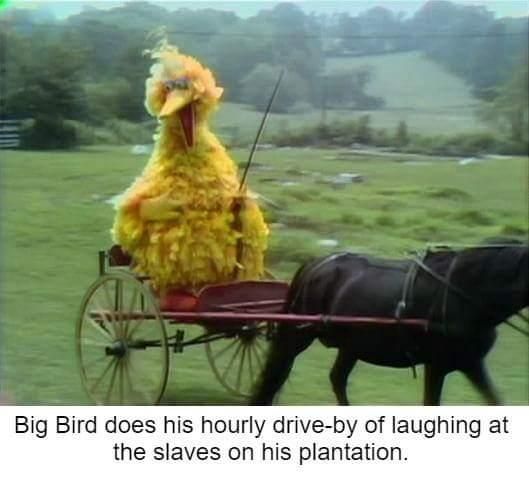 Big Bird is a dick.