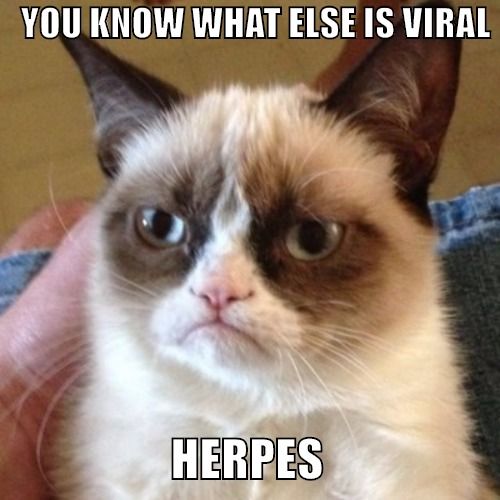 Yes I'm looking at you admin