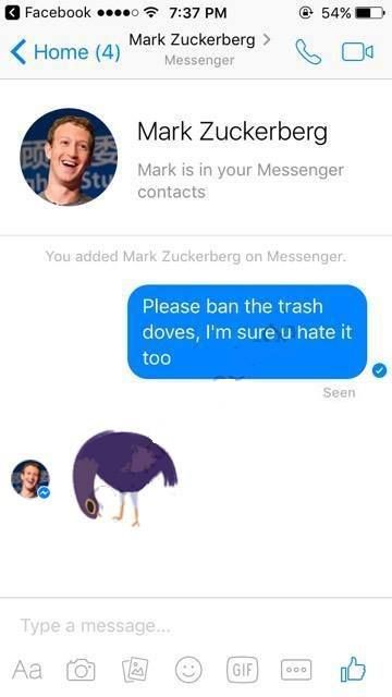 Z U C C E D