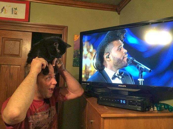 This guy and his cat
