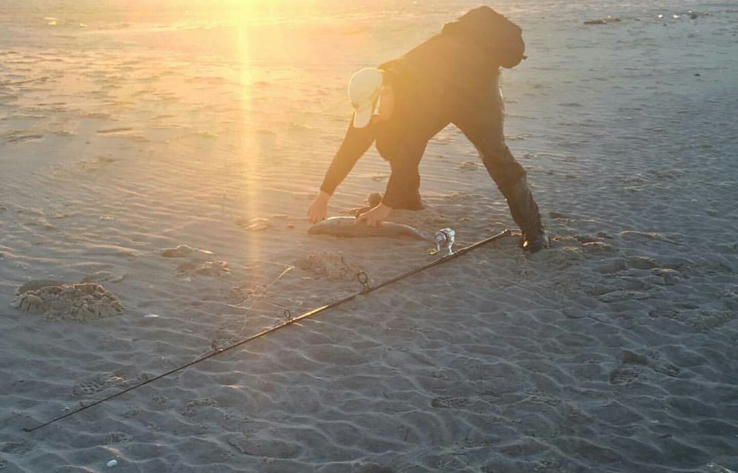 It took me a few seconds to realize this wasn't a gorilla walking on the beach
