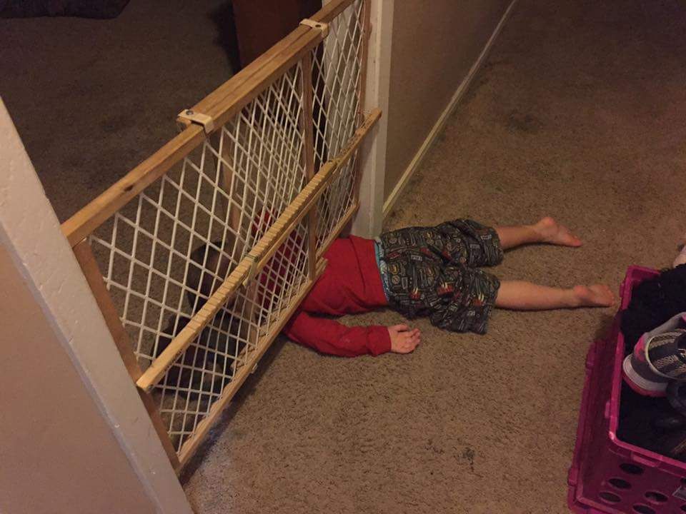 My nephew tried to escape from his room last night, got stuck, was too tired to call for help, and promptly fell asleep there for the rest of the night.