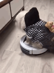 when your life is pointless and your owner is a douche