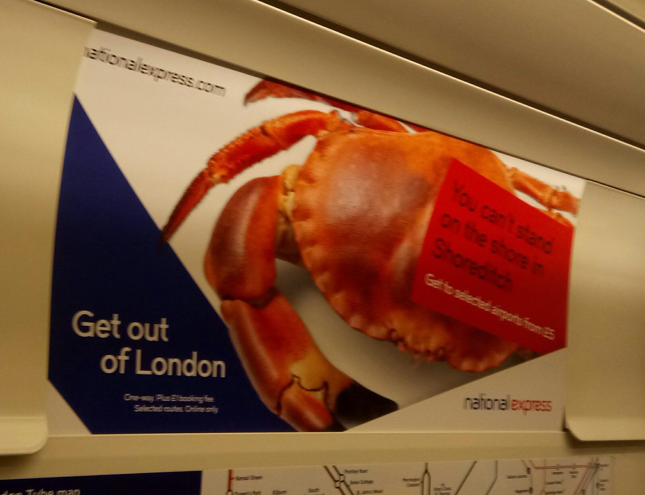 I feel like this crab is threatening me