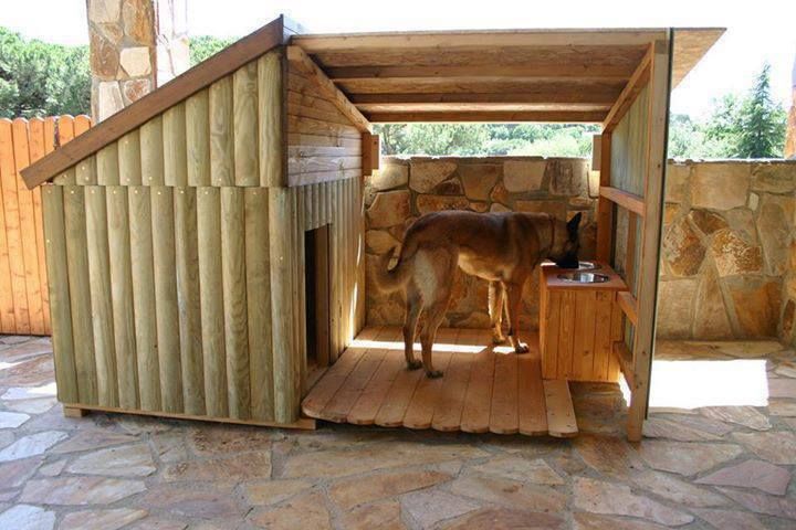 This dog has a nicer house than you.