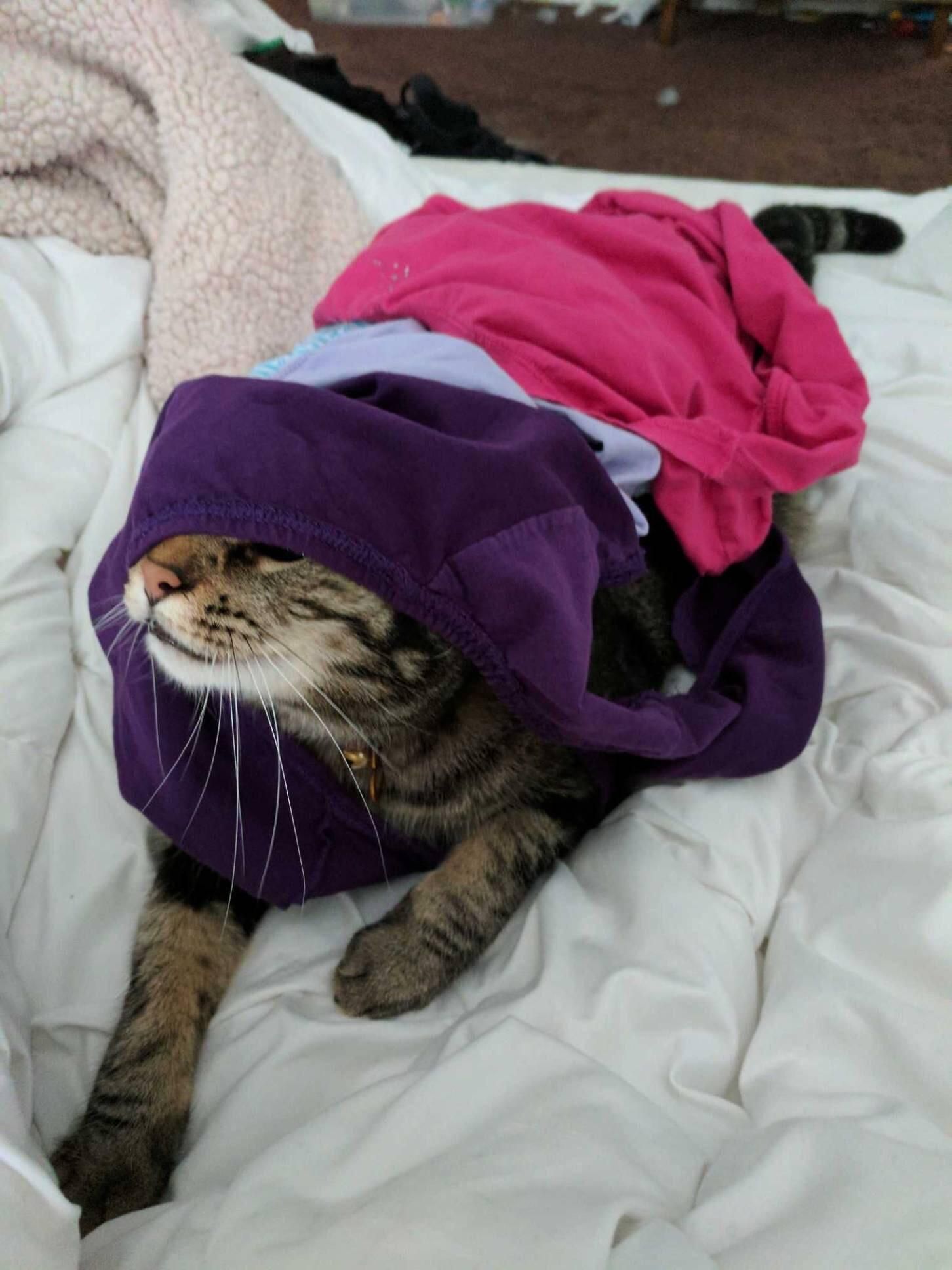 Khajiit has under wares if you have coin