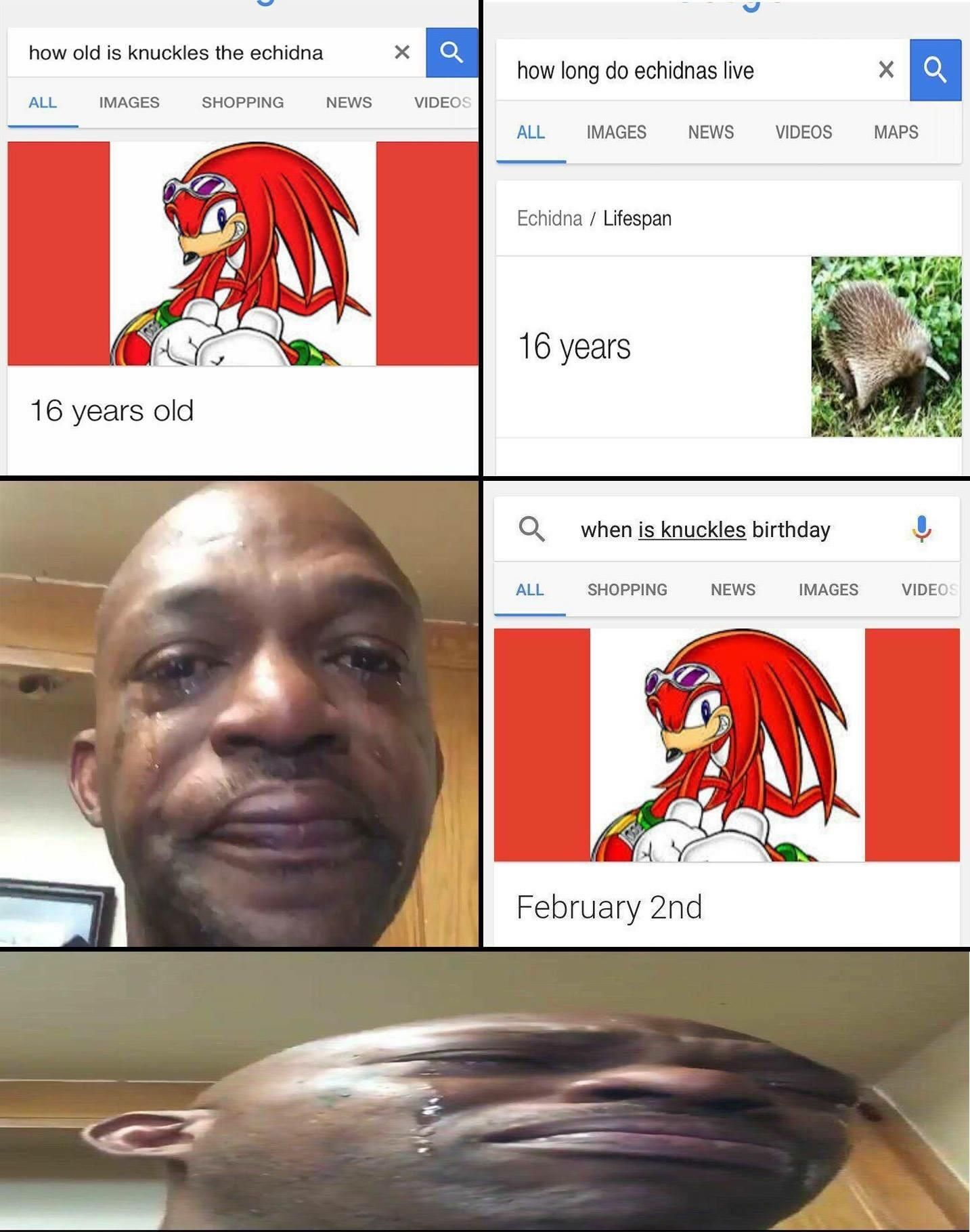 Rip knuckles 2/2/17.