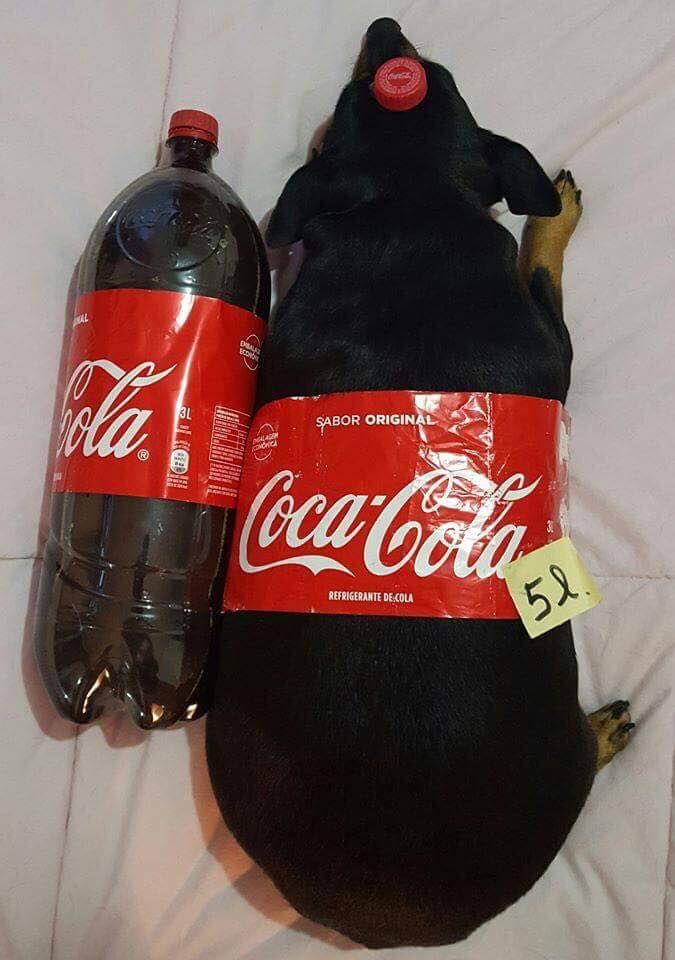 A 5 liter Coke