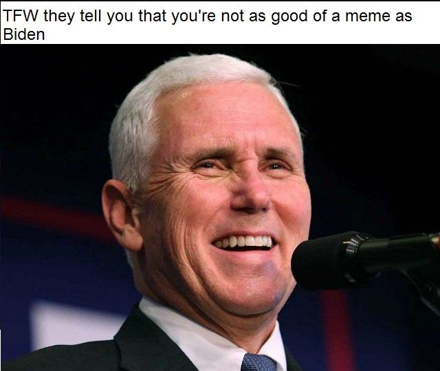 Mike "Electrocute Your Rear if You're a Queer" Pence