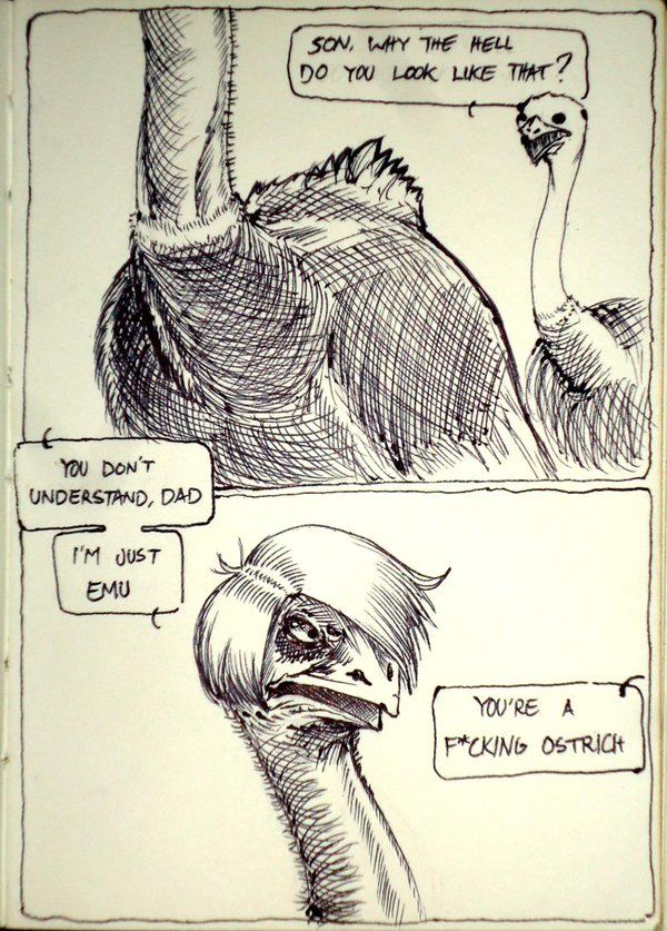 Ostrich problems