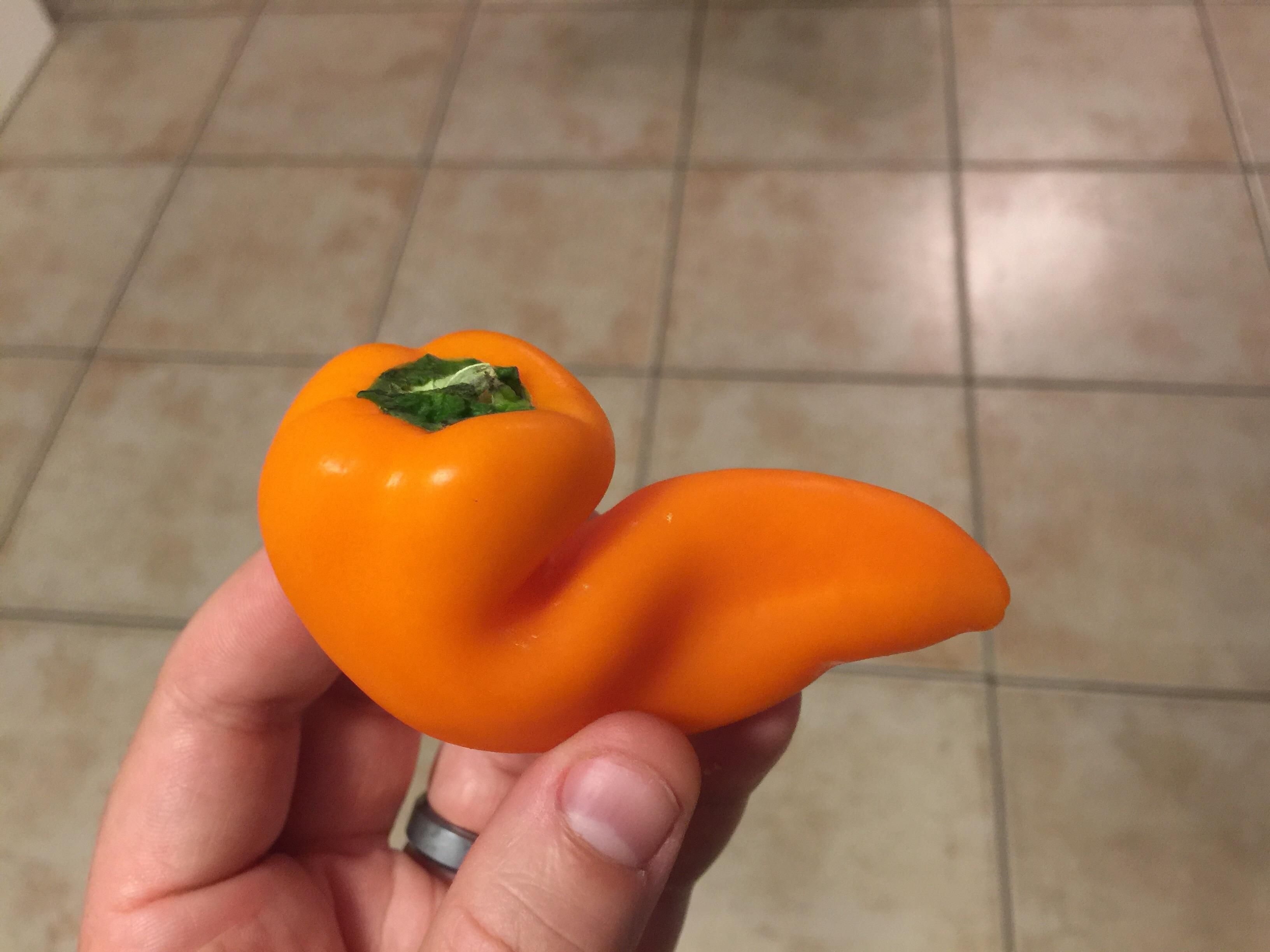 While packing my son's lunch, I found a pepper that brought me back to my college days.
