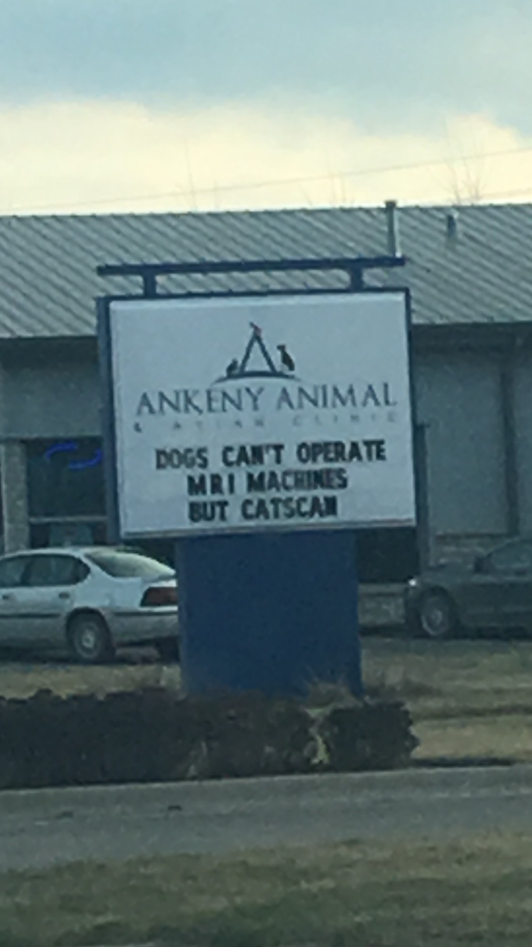 Local veterinary clinic with the dad joke