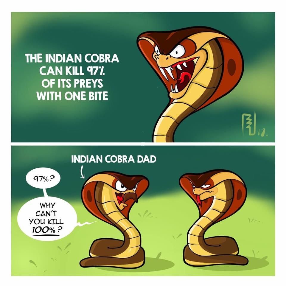 The Indian Cobra is kill machine ... errr