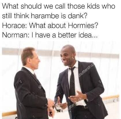 Hor.. Nor... REEEEEEEEEEEEEEEEEEEEEEEEEEEEEEEEEEEEEEEEEEEEEEE