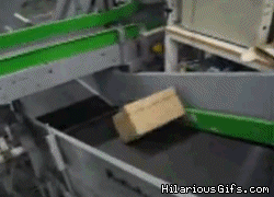 leaked footage from every shipping warehouse my package goes through