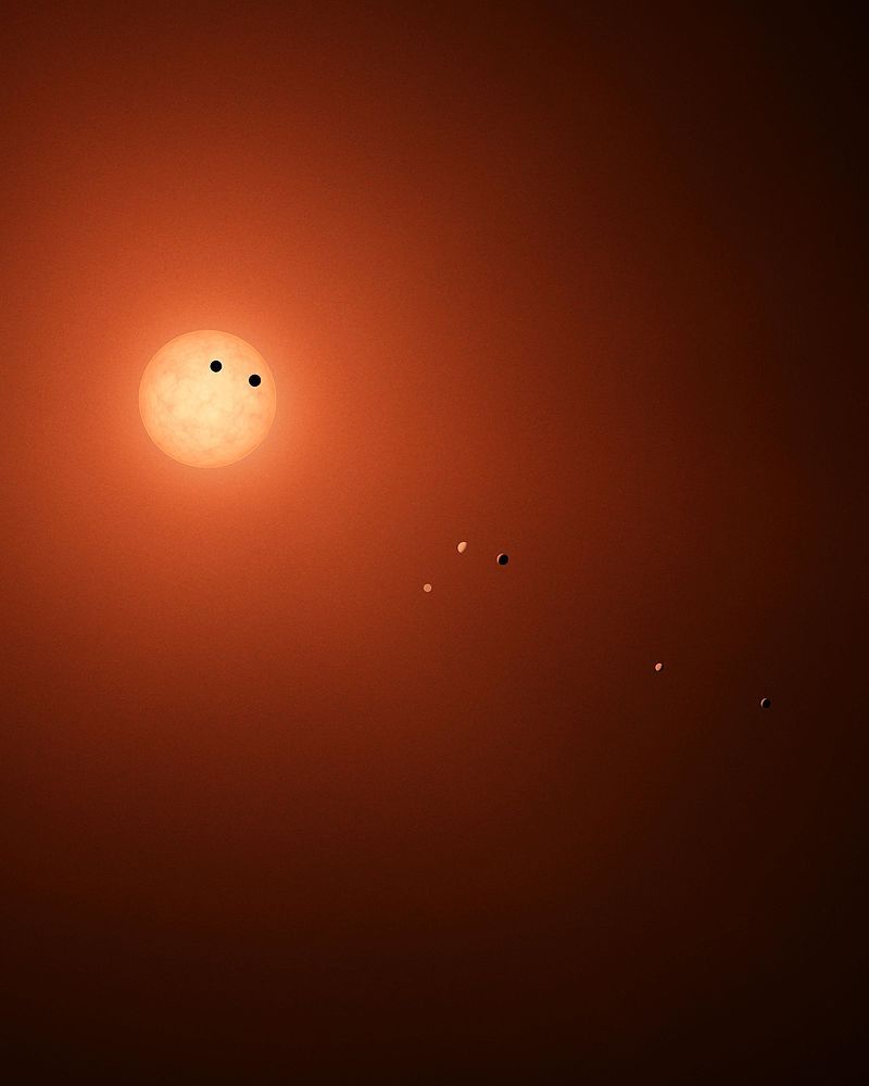 I thought someone put googly eyes on the Trappist Sun on Wikipedia. It's just planets.