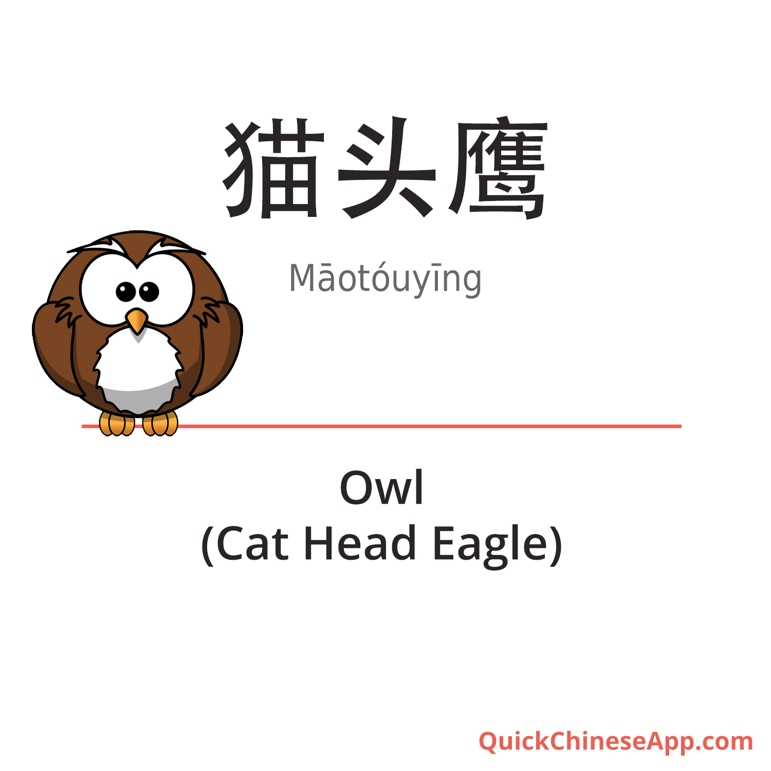 The mandarin literal translation for Owl is brilliant